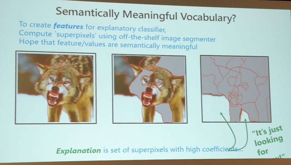 Example of optimizing the wrong thing: a fine snow detector, instead of a wolf detector.
