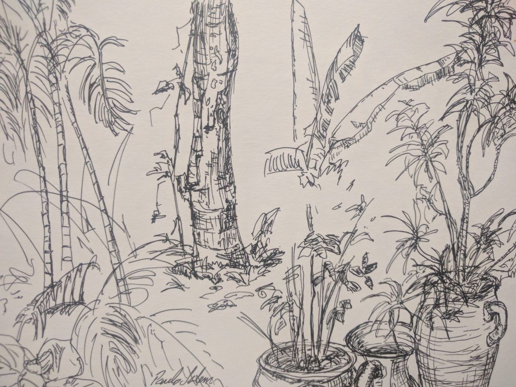 Ink sketch of tropical garden plants, a palm trunk, and potted plants.